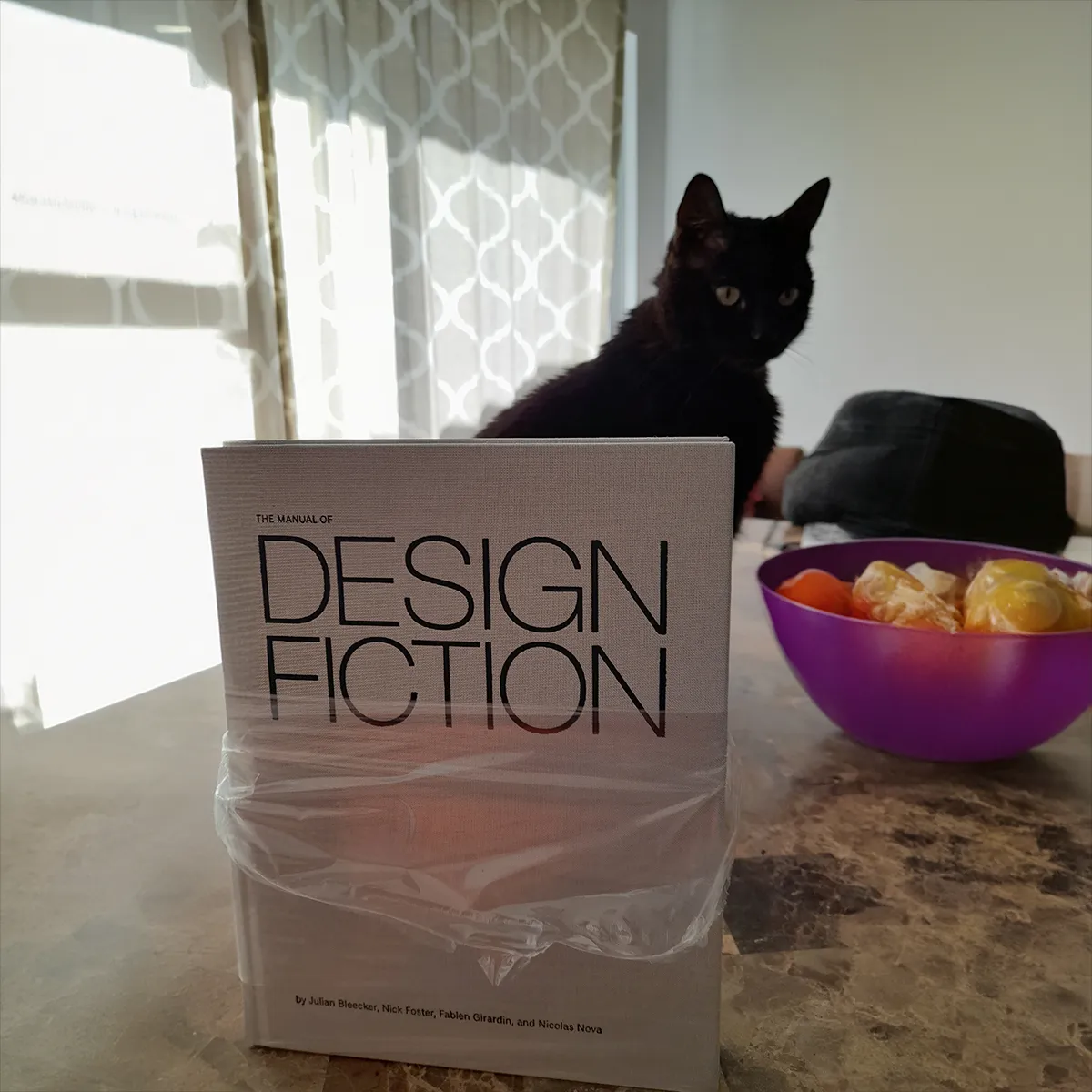 A photo from or of the book The Manual of Design Fiction (Hardcover) by Julian Bleecker