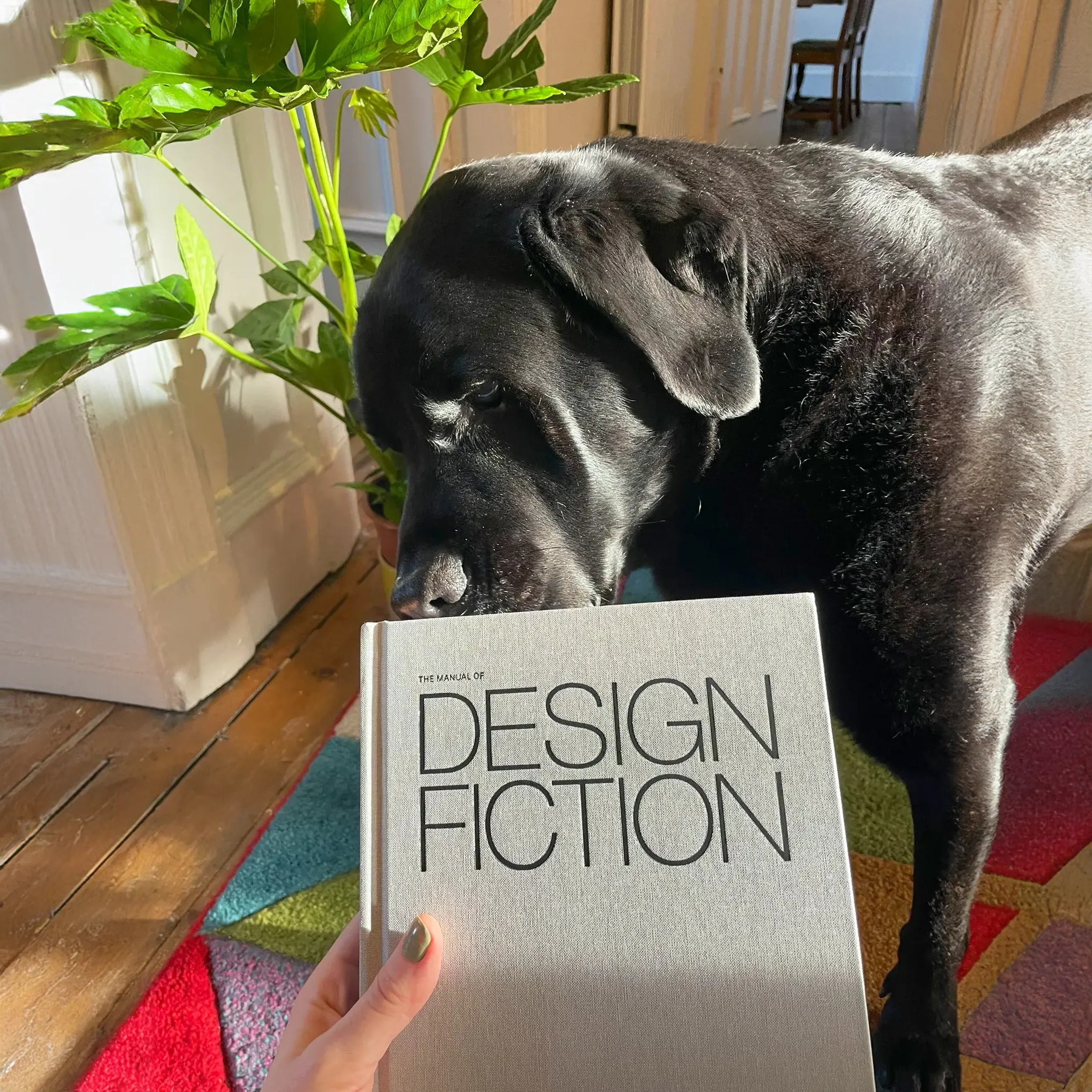 A photo from or of the book The Manual of Design Fiction (Hardcover) by Julian Bleecker